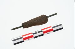 Foto von Beinnadelspitzenschoner (NHMW-PRAE-026078)